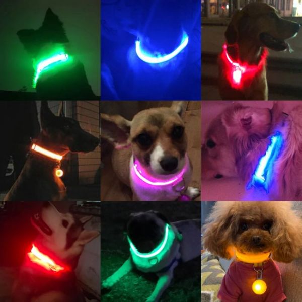 Collare per cani con led anti-smarrimento caricato tramite USB in Vari colori