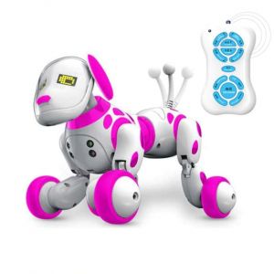 Robot Cane Telecomandato e Programmabile (2.4G) - NewTechStore