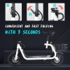 scooter elettrico windgoo economico che si piega facilmente