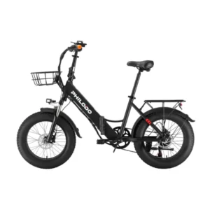 E-bike che combina i vantaggi di una e-bike pieghevole con quelli di una all-terrain.