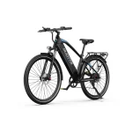 DUOTTS C29 Bici Elettrica