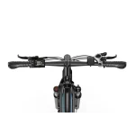 DUOTTS C29 Bici Elettrica - immagine 4
