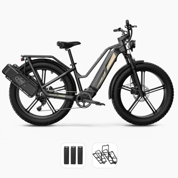 bici elettrica con sensore di coppia