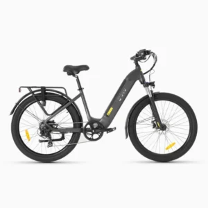 una bicicletta per pendolari urbani economicamente vantaggiosa