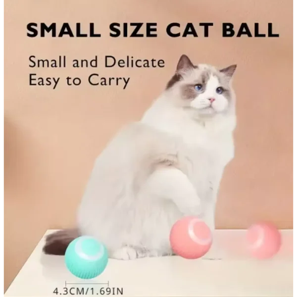 palla elettronica per gatti di piccole dimensioni