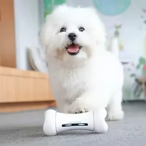Giocattolo robot per cani telecomandato