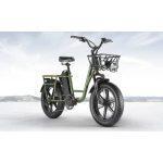 FIIDO T1 Pro Electric Cargo Bike con motore da 750W