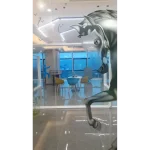 Film Intelligente con Disegni per Finestre e Vetri (m2) - immagine 3