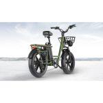 FIIDO T1 Pro Electric Cargo Bike con motore da 750W - immagine 2