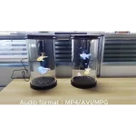 Cilindro Olografico 3D – Holotube - immagine 3