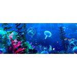 3D Sistema Olografico Interattivo per l'interno - immagine 8