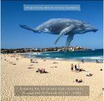 Occhiali a Realtà Aumentata con Proiettore 3D - immagine 6