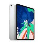Apple iPad Pro 11.0" 1a Generazione (2018) - Wi-Fi - Ricondizionato