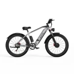 DUOTTS F26 Bici Elettrica con Doppi Motori da 750 Watt