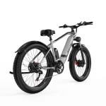 DUOTTS F26 Bici Elettrica con Doppi Motori da 750 Watt - immagine 2