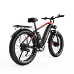 DUOTTS F26 Bici Elettrica con Doppi Motori da 750 Watt - immagine 3