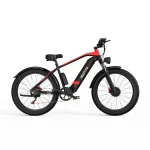 DUOTTS F26 Bici Elettrica con Doppi Motori da 750 Watt - immagine 9