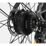 DYU C1 Bici Elettrica da Città - immagine 7