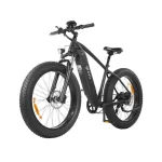 DYU King 750 Biciclette Εlettriche con Pneumatici Larghi - immagine 3