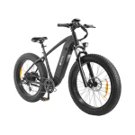 DYU King 750 Biciclette Εlettriche con Pneumatici Larghi - immagine 4