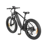 DYU King 750 Biciclette Εlettriche con Pneumatici Larghi - immagine 5