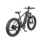 DYU King 750 Biciclette Εlettriche con Pneumatici Larghi - immagine 6