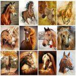 5d Kit da Disegno con Diamanti – Animali - immagine 5