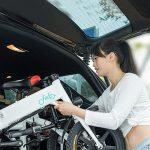 FIIDO D1 Bicicletta Elettrica Pieghevole - immagine 6