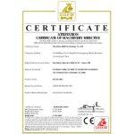 FIIDO D1 Bicicletta Elettrica Pieghevole - immagine 8