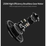 FIIDO D4S Bicicletta Elettrica Pieghevole - immagine 21