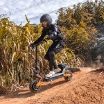 Fiido Beast Scooter Elettrico con Motore Forte - immagine 6