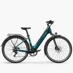 Fiido C11 Bici Elettrica da Città