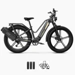 Fiido M25 Titan Robusta Bici Elettrica da Carico - immagine 4