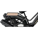 Fiido M25 Titan Robusta Bici Elettrica da Carico - immagine 5