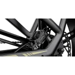 Fiido M25 Titan Robusta Bici Elettrica da Carico - immagine 7