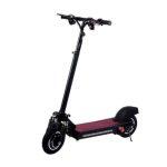 Hi-Flying L002 Scooter Elettrico Pieghevole con 2 Motori 600 W (1.200 W)