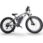Hi-Flying TOP-020 Bici Elettrica con Motori da 1000 Watt - immagine 6