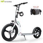 Hi-Flying H100 Monopattino Elettrico Pieghevole con Ruota Grande - immagine 8