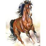 5d Kit da Disegno con Diamanti – Animali - immagine 9