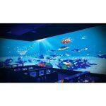 Defi - Proiezione interattiva di pavimenti e pareti - immagine 11