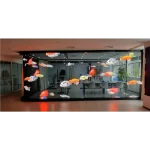 Pellicola per Finestre Olografica Trasparente (autoadesiva) - immagine 8