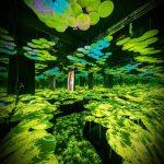 3D Sistema Olografico Interattivo per l'interno