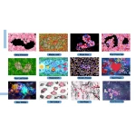 Sistema di Proiezione Interattivo 3D a Parete e a Pavimento con Numerosi Giochi - immagine 13