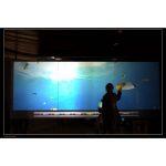 Pellicola Touch Interattiva - immagine 5