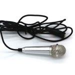 Mini Microfono Karaoke per Smartphone, Desktop e Laptop - immagine 6