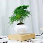 Vaso di Levitazione per Pianta Bonsai - immagine 4