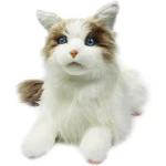 MetaCat - Robot Domestico Realistico Basato sull'Intelligenza Artificiale