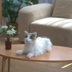 MetaCat - Robot Domestico Realistico Basato sull'Intelligenza Artificiale - immagine 5