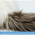 MetaCat - Robot Domestico Realistico Basato sull'Intelligenza Artificiale - immagine 3