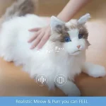 MetaCat - Robot Domestico Realistico Basato sull'Intelligenza Artificiale - immagine 4